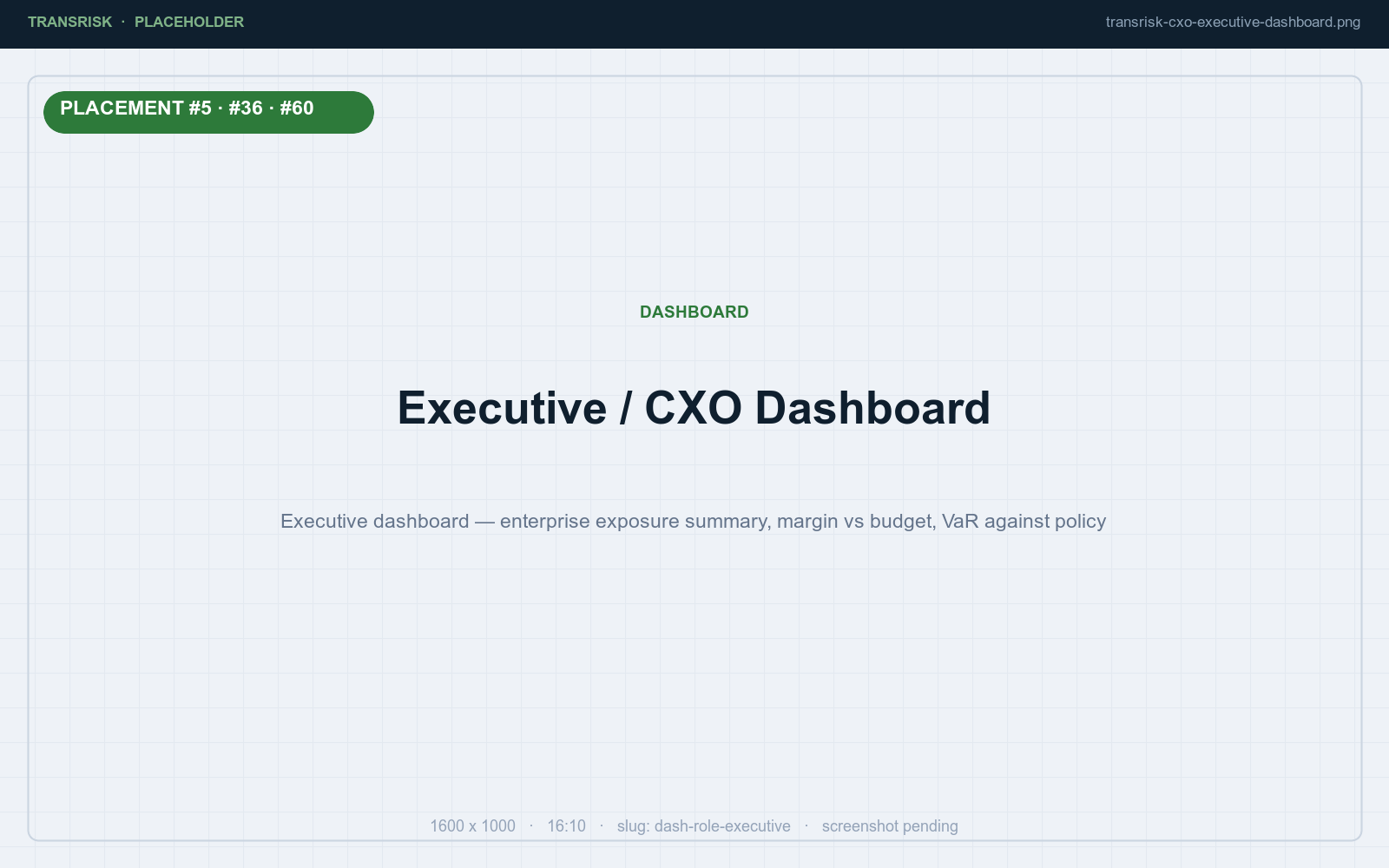 Executive dashboard — enterprise exposure summary, margin vs budget, VaR against policy